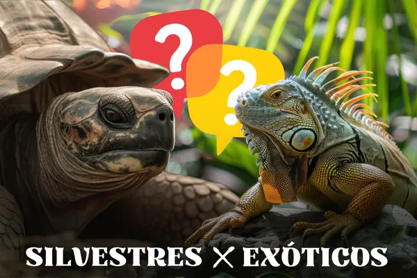 Diferença entre Animais Silvestres e Exóticos